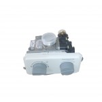 Водогазовый узел ВПГ-18 GW40B-5C4A3B2AG-01